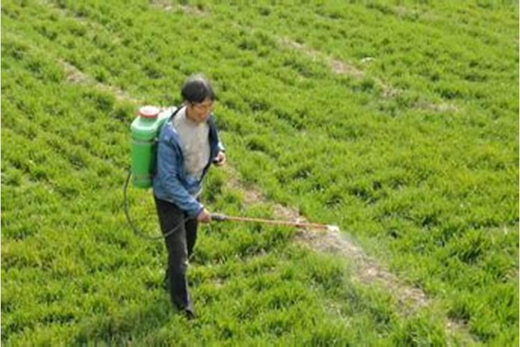 农作物除草剂药害补救方法？