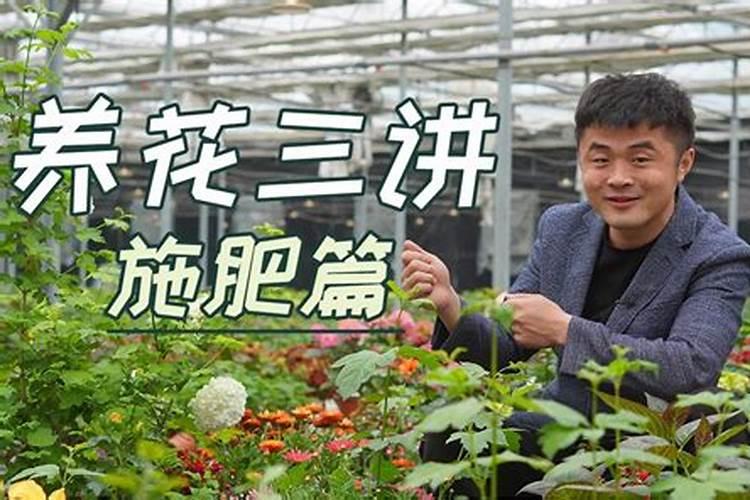 八仙花生物菌肥好不好施肥用什么药？