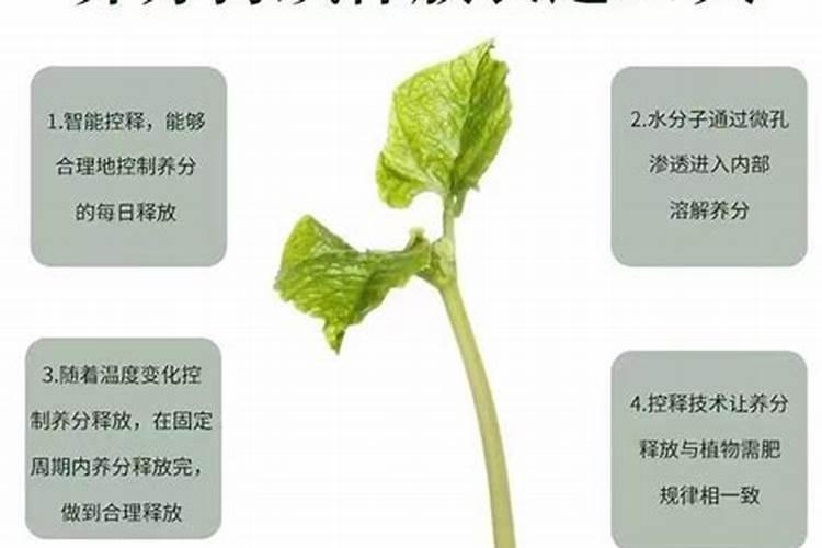 控释肥控释氮13%是什么意思