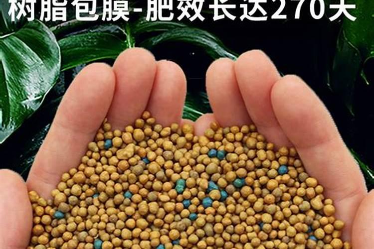 STANLEY/史丹利颗粒缓释肥450g</p><p>STANLEY/史丹利颗粒缓释肥450g是一种高效的植物肥料，特别适合各种植物的生长需求。它含有植物生长所需的多种营养元素，采用先进的缓释技术，能够持续为植物提供养分长达100天，确保植物在整个生长周期中都能获得充足的养分。这种肥料特别适合室内盆栽和户外种植，使用方便且效果显著。缓释技术不仅能够控制养分。</p><p><h3 ext>三、STANLEY/史丹利颗粒缓释肥450g家庭园艺化肥推荐