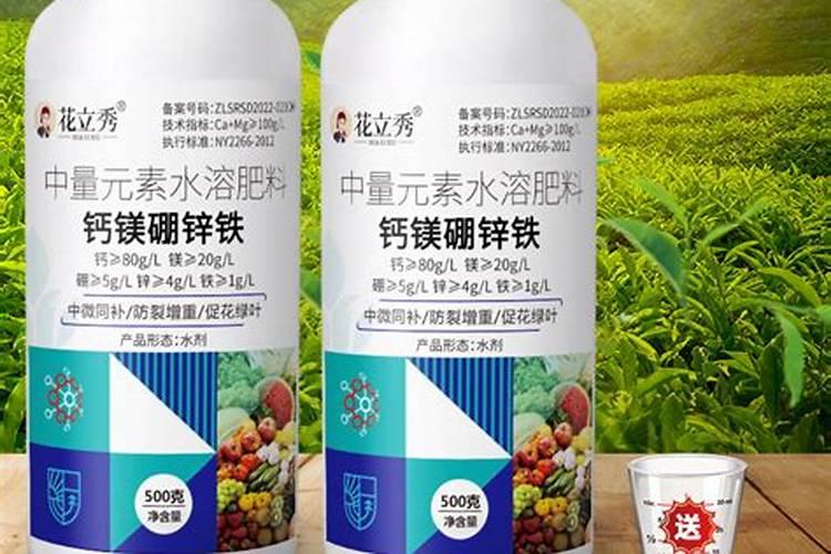 中微量元素肥料有哪些种类的茶树？