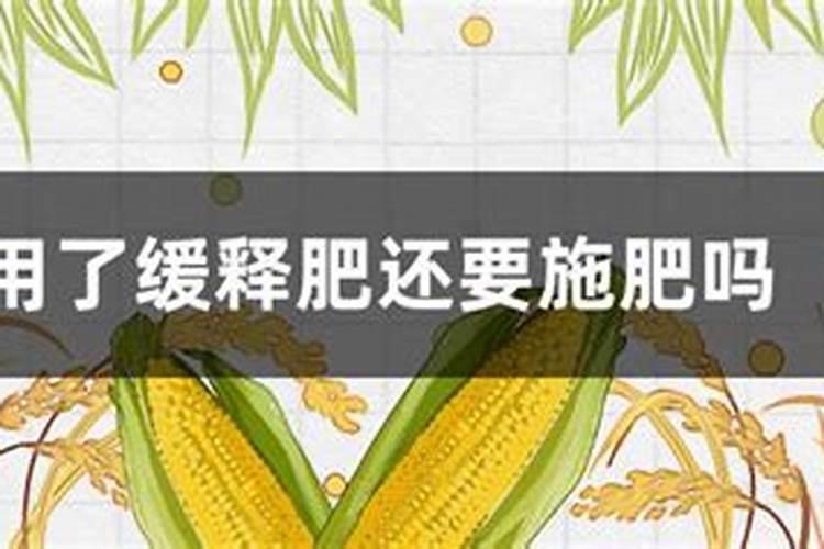 缓释肥是什么肥,用了后还要施肥吗