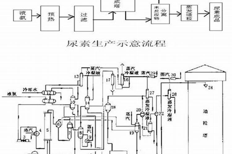 尿素的生产工艺是什么？煤头的。越详细越好