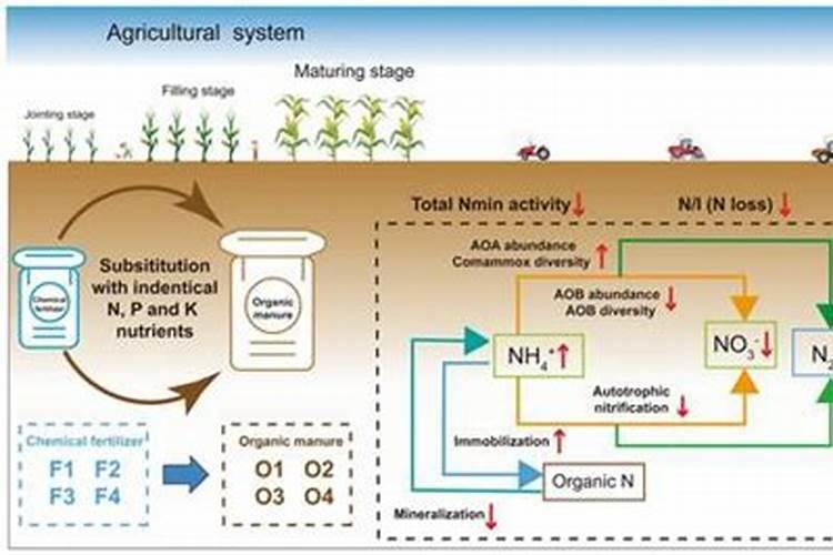 生物肥料能代替化肥么2025？