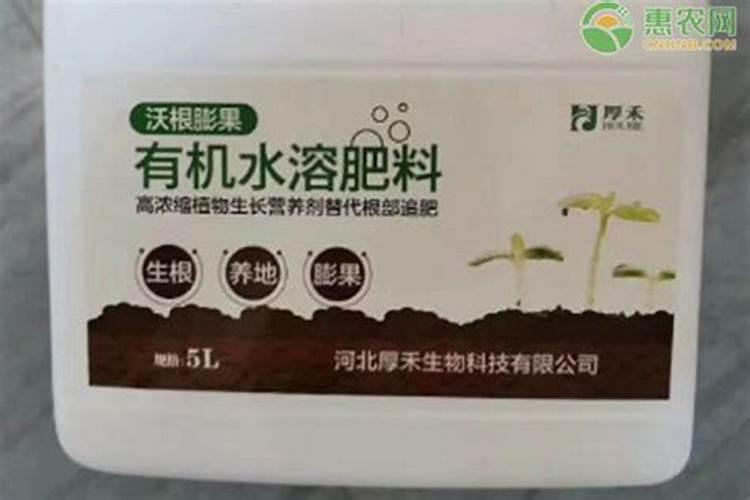 瓜叶菊什么是有机水溶肥料？