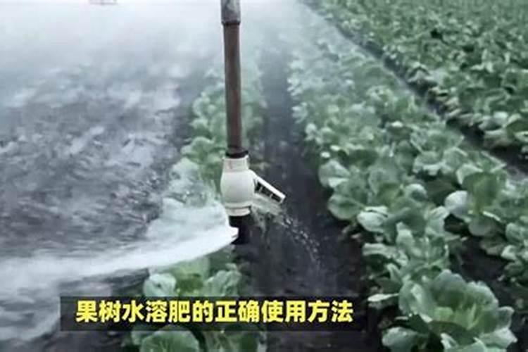 2025水溶肥的正确使用方法果树资兴？