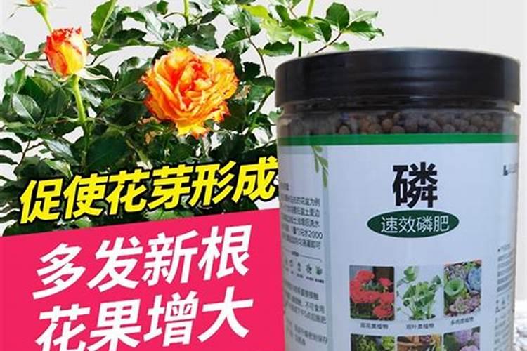 氮磷肥对植物的作用与功效是什么？