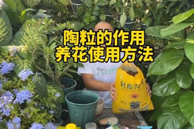 微生物菌剂养花的正确使用方法？