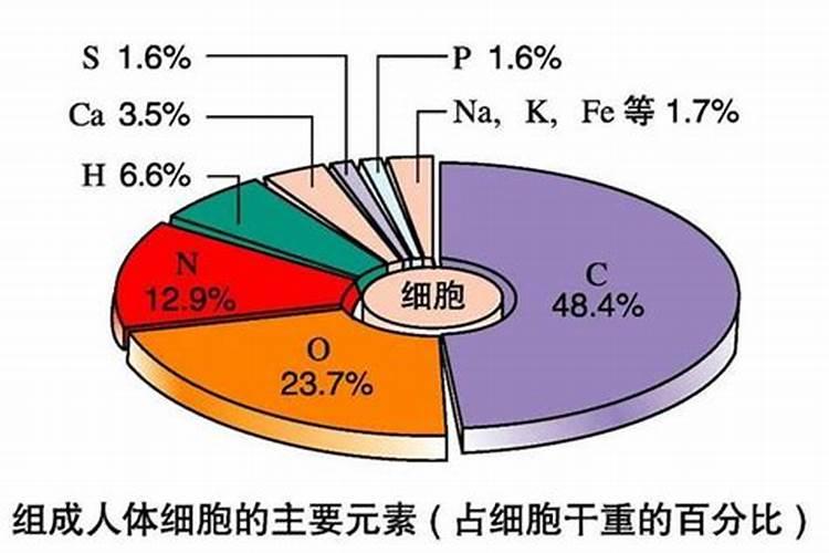 生物肥是什么组成成分的广州？