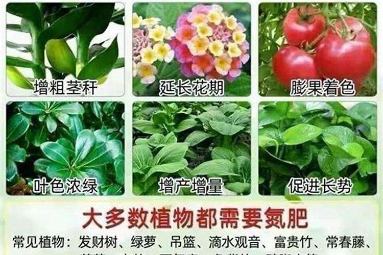 水溶肥厂家直销电话多少栀子花？