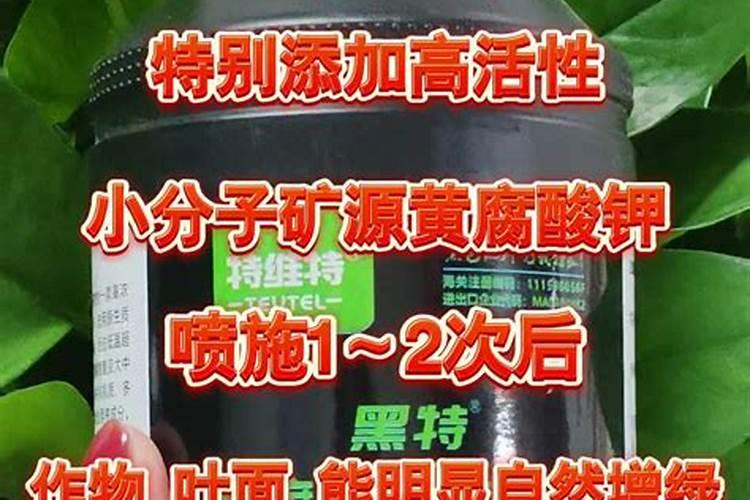 2025山药绿叶壮叶面肥作用与功效