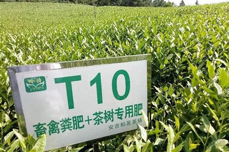 包头茶叶农药化肥厂家联系方式及电话？