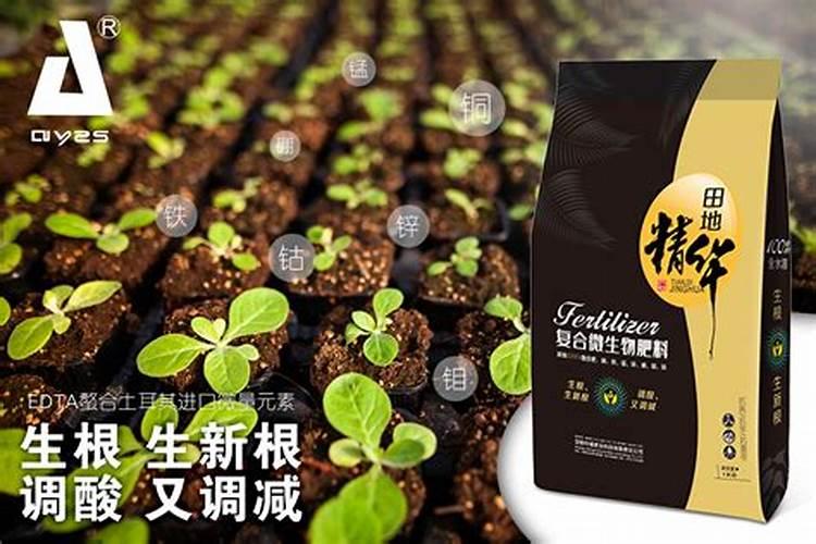 微生物肥料怎样用才最好