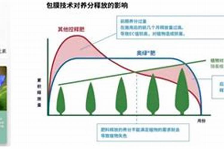 控释肥的释放原理