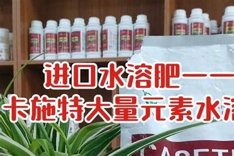 市面上的水溶肥都有哪些种类？都该怎样使用？