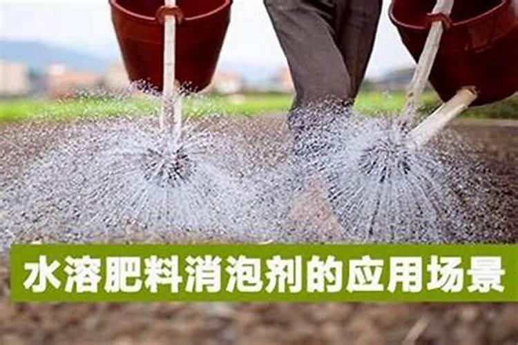 茉莉花全国最好的水溶肥厂家有哪些地方玉树2025？