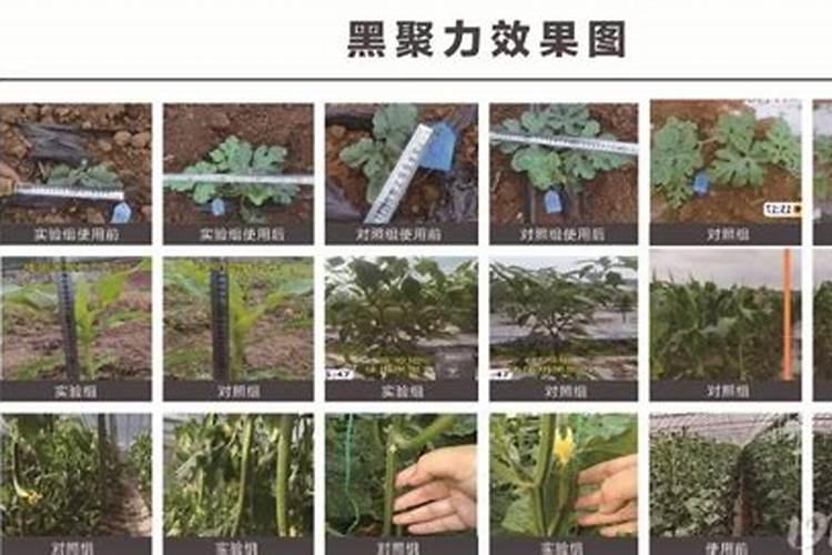 大量元素水溶肥料配比方法？