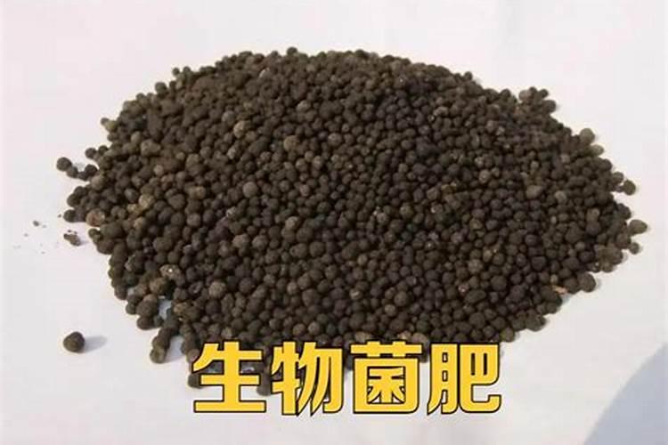 秋季施肥怎么选？都说要用生物菌肥？什么生物菌肥好？